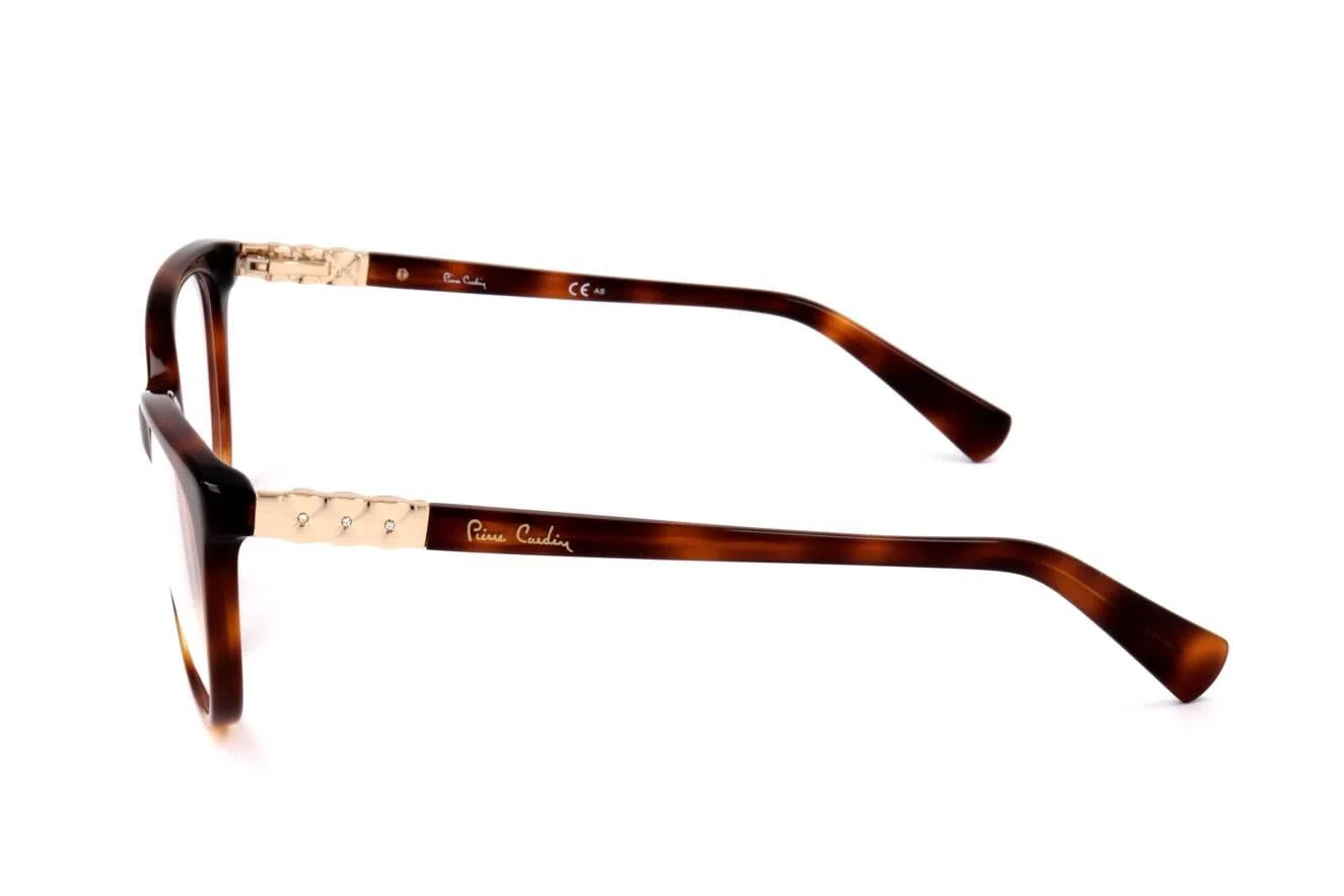 Pierre Cardin PC8433 Eyeglasses - view 4